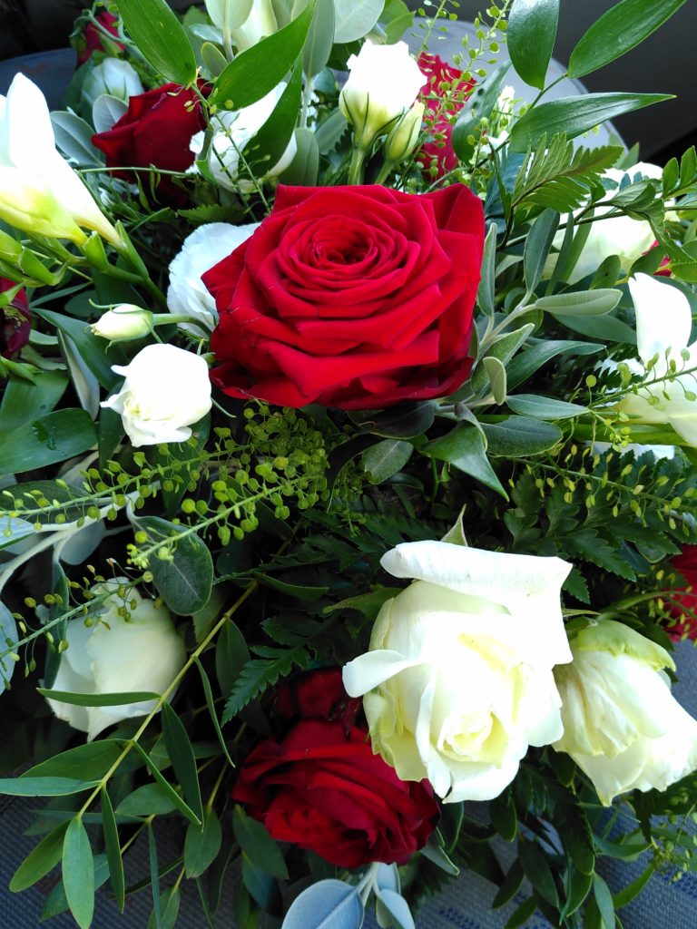Red and white roses with green foliage